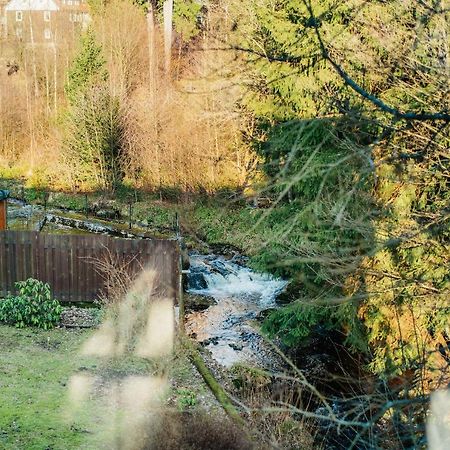 Ferienwohnung Kiefer Braunlage Eksteriør billede