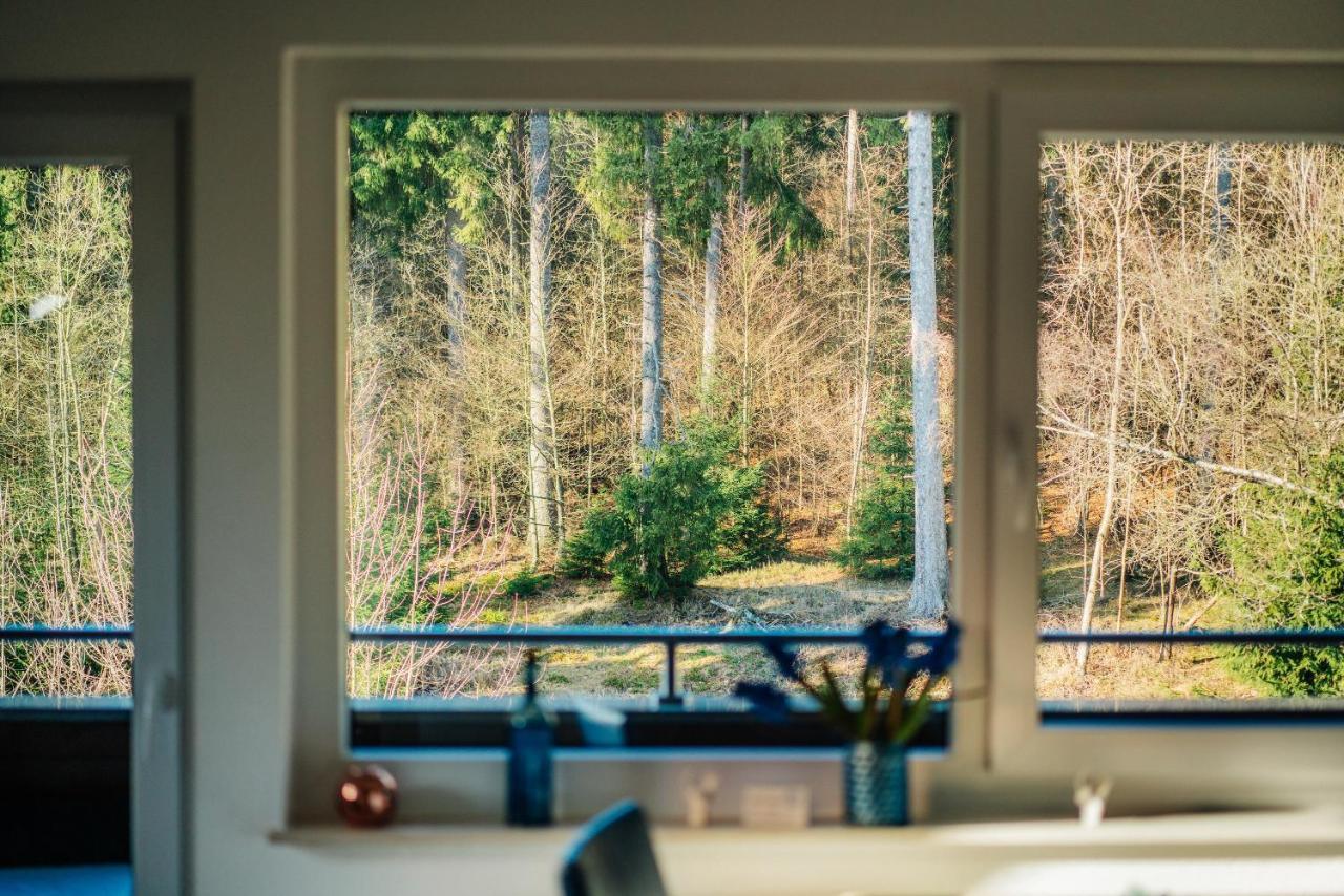 Ferienwohnung Kiefer Braunlage Eksteriør billede