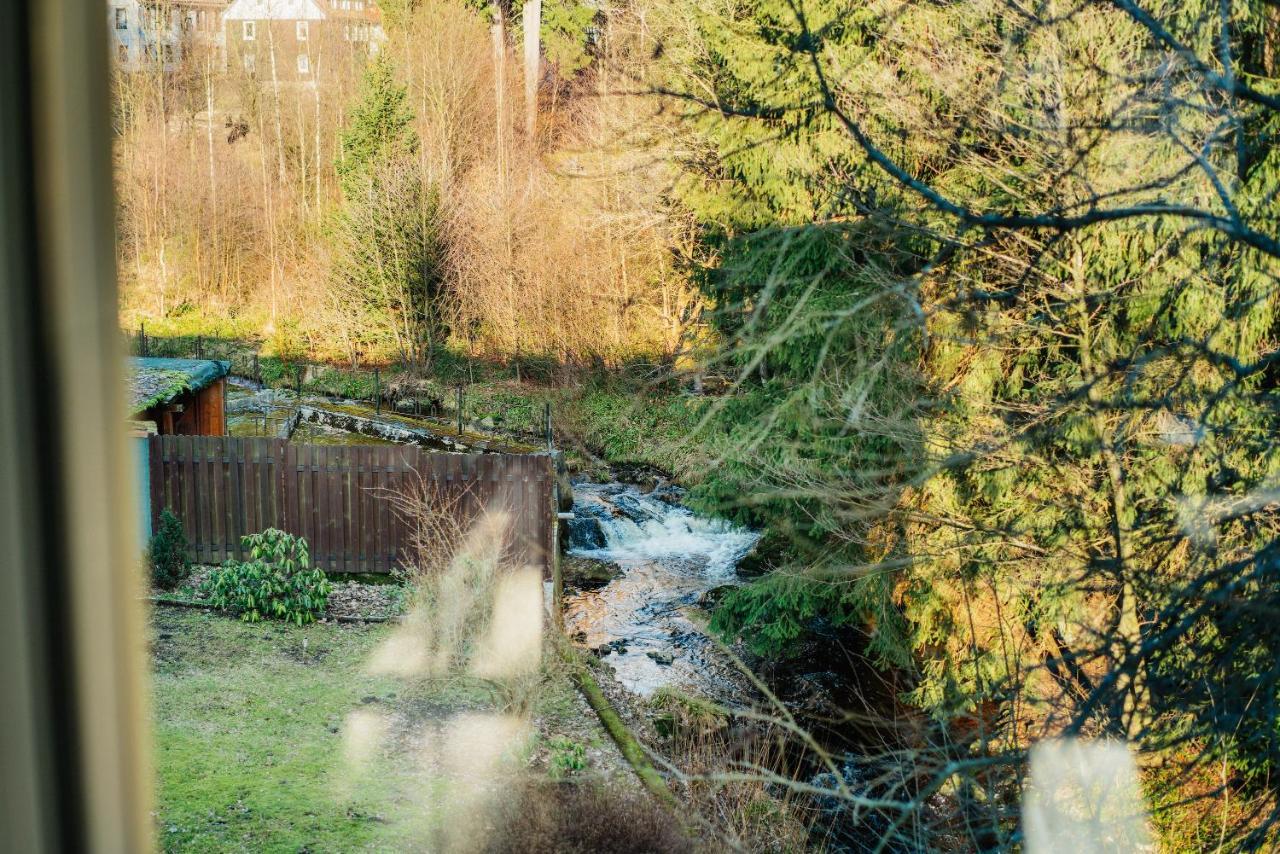 Ferienwohnung Kiefer Braunlage Eksteriør billede